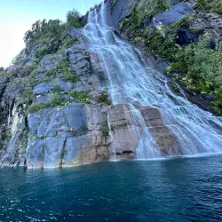 Puyehue National Park - Osorno
