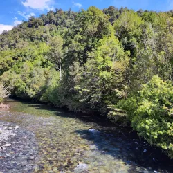 Puyehue National Park - Osorno