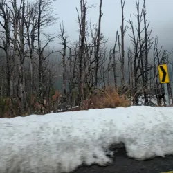 Puyehue National Park - Osorno