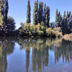 Río Rahue - Osorno