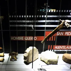 Museo Arqueológico de Ovalle - Ovalle