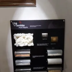 Museo Arqueológico de Ovalle - Ovalle