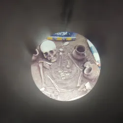 Museo Arqueológico de Ovalle - Ovalle