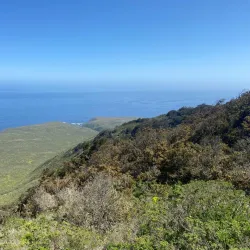 Parque Nacional Bosque Fray Jorge - Ovalle