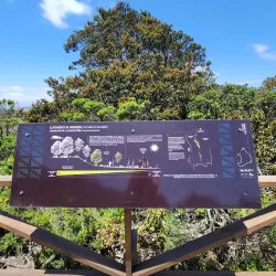 Parque Nacional Bosque Fray Jorge - Ovalle