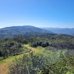 Parque Nacional Bosque Fray Jorge - Ovalle