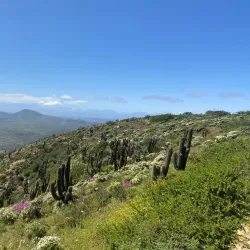 Parque Nacional Bosque Fray Jorge - Ovalle