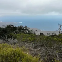 Parque Nacional Bosque Fray Jorge - Ovalle