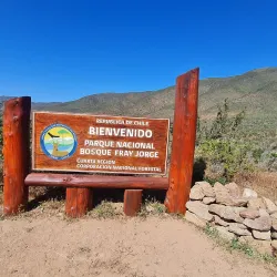 Parque Nacional Bosque Fray Jorge - Ovalle