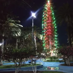 Plaza de Armas de Ovalle - Ovalle