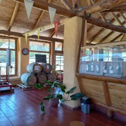 Viña Falernia - Ovalle