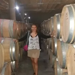 Viña Falernia - Ovalle