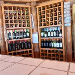 Viña Falernia - Ovalle