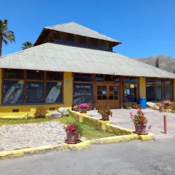 Viña Falernia - Ovalle