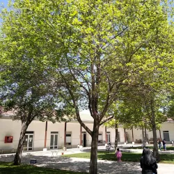 Mercado Municipal de Puente Alto - Puente Alto