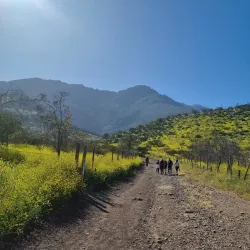 Parque Mahuida - Puente Alto