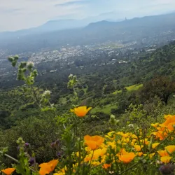 Parque Mahuida - Puente Alto