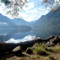 Alerce Andino National Park - Puerto Montt