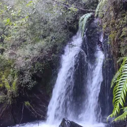 Alerce Andino National Park - Puerto Montt