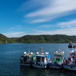 Caleta Angelmó - Puerto Montt