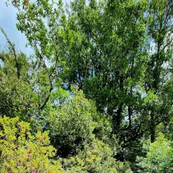 Mirador Cerro Philippi - Puerto Montt