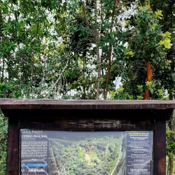 Mirador Cerro Philippi - Puerto Montt