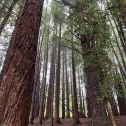 Mirador Cerro Philippi - Puerto Montt