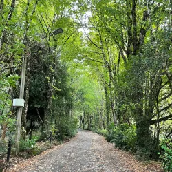 Mirador Cerro Philippi - Puerto Montt