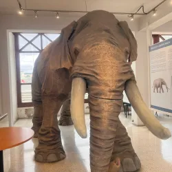 Museo Juan Pablo II - Puerto Montt