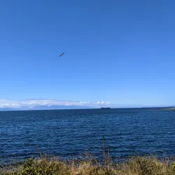 Puerto Montt Waterfront (Costanera) - Puerto Montt