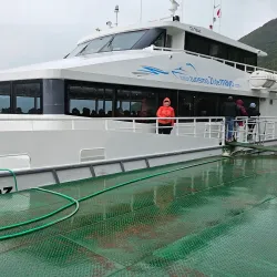 Boat Tours to Balmaceda and Serrano Glaciers - Puerto Natales