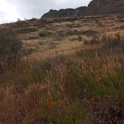 Laguna Sofía - Puerto Natales