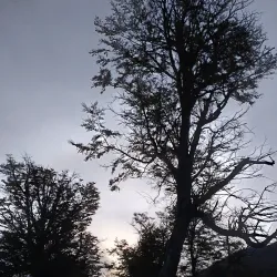 Laguna Sofía - Puerto Natales