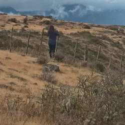 Laguna Sofía - Puerto Natales