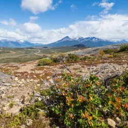 Milodon Cave Natural Monument - Puerto Natales