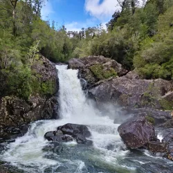 Alerce Andino National Park - Puerto Varas