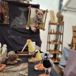 Local Artisan Markets - Puerto Varas