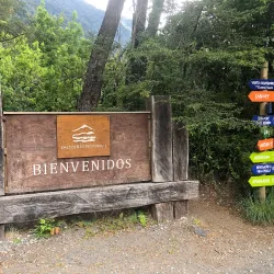 Petrohue Waterfalls - Puerto Varas