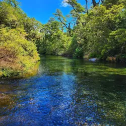 Vicente Pérez Rosales National Park - Puerto Varas