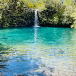 Vicente Pérez Rosales National Park - Puerto Varas