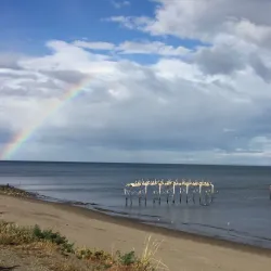 Costanera del Estrecho - Punta Arenas