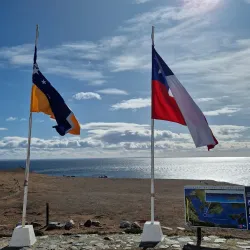 Magdalena Island Penguin Colony - Punta Arenas