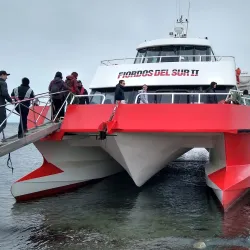 Magdalena Island Penguin Colony - Punta Arenas