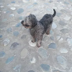 Plaza Muñoz Gamero - Punta Arenas