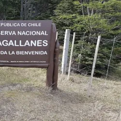 Reserva Nacional Magallanes - Punta Arenas