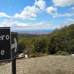 Reserva Nacional Magallanes - Punta Arenas