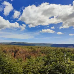 Reserva Nacional Magallanes - Punta Arenas