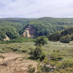 Reserva Nacional Magallanes - Punta Arenas