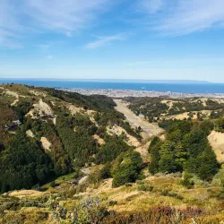 Reserva Nacional Magallanes - Punta Arenas