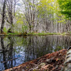 Reserva Nacional Magallanes - Punta Arenas